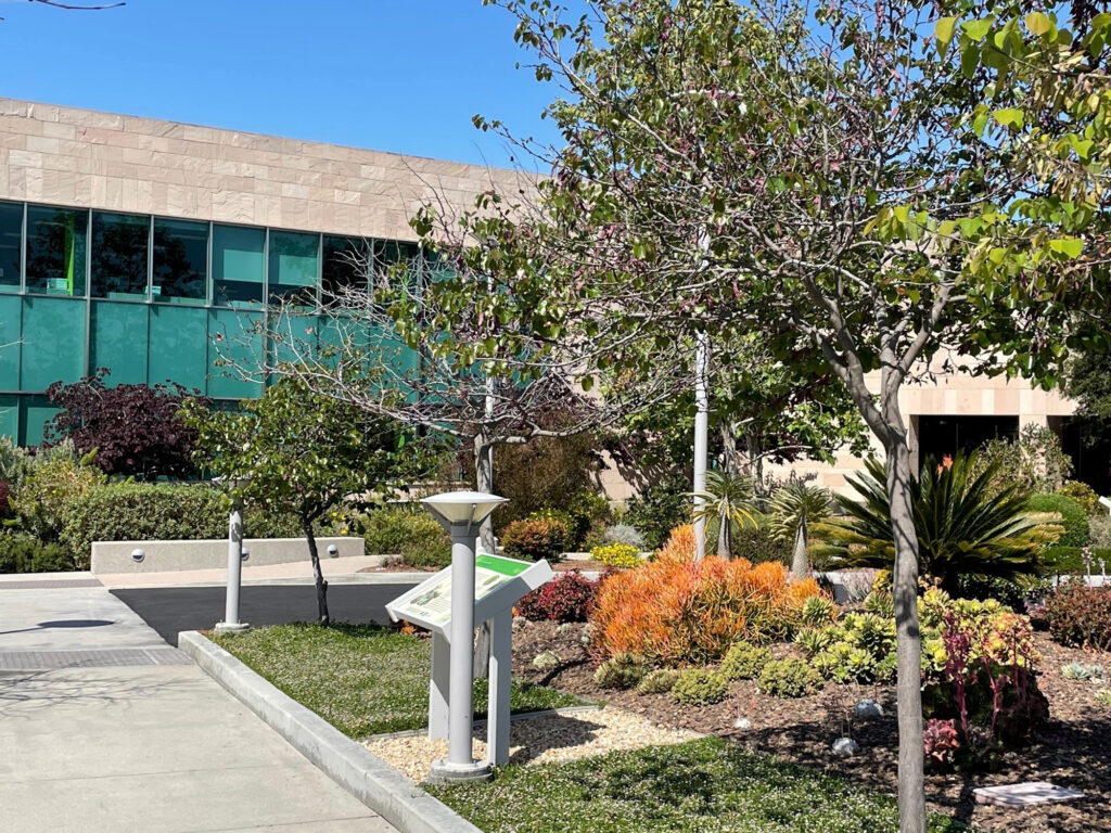 Government Office